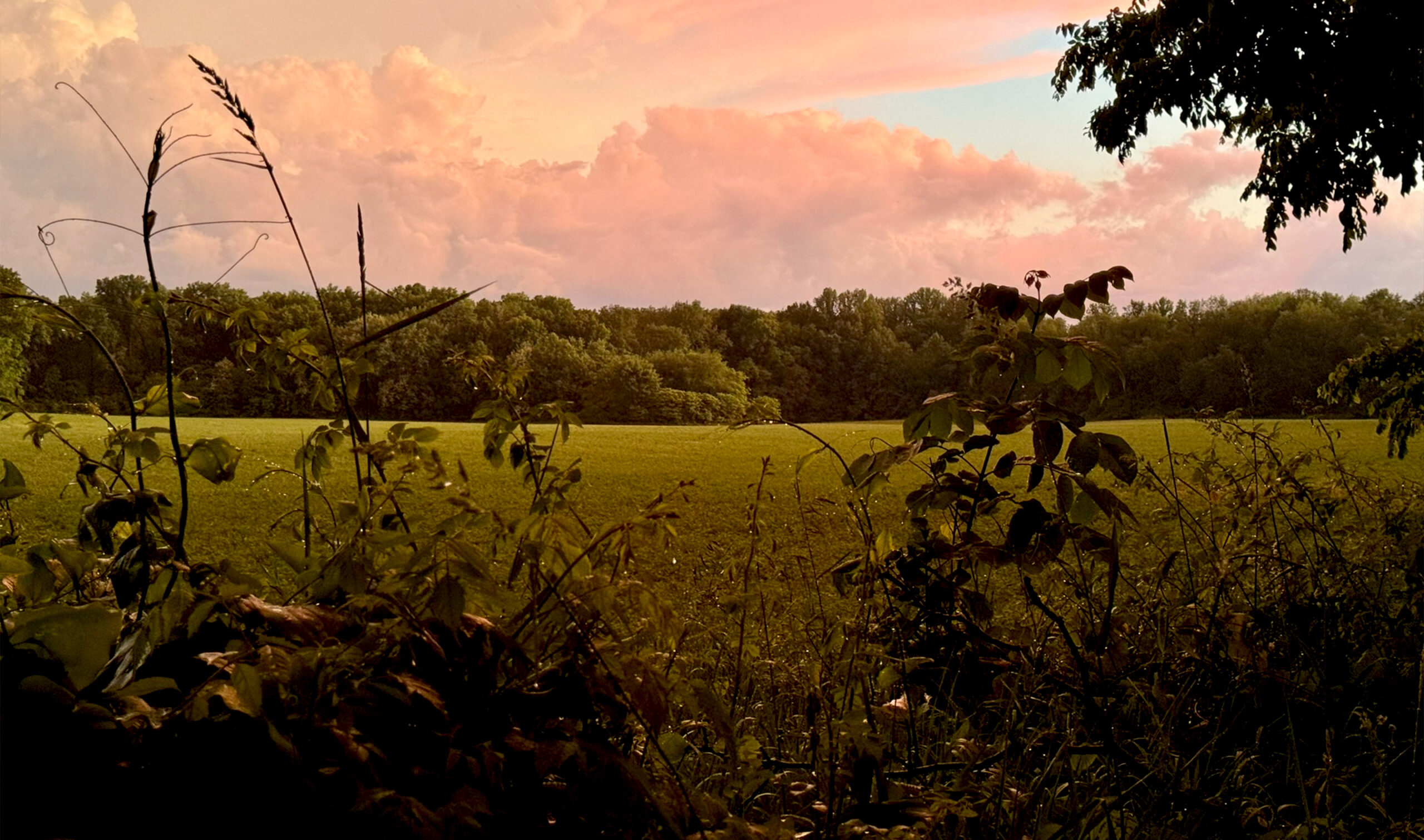 Greystone property in spring