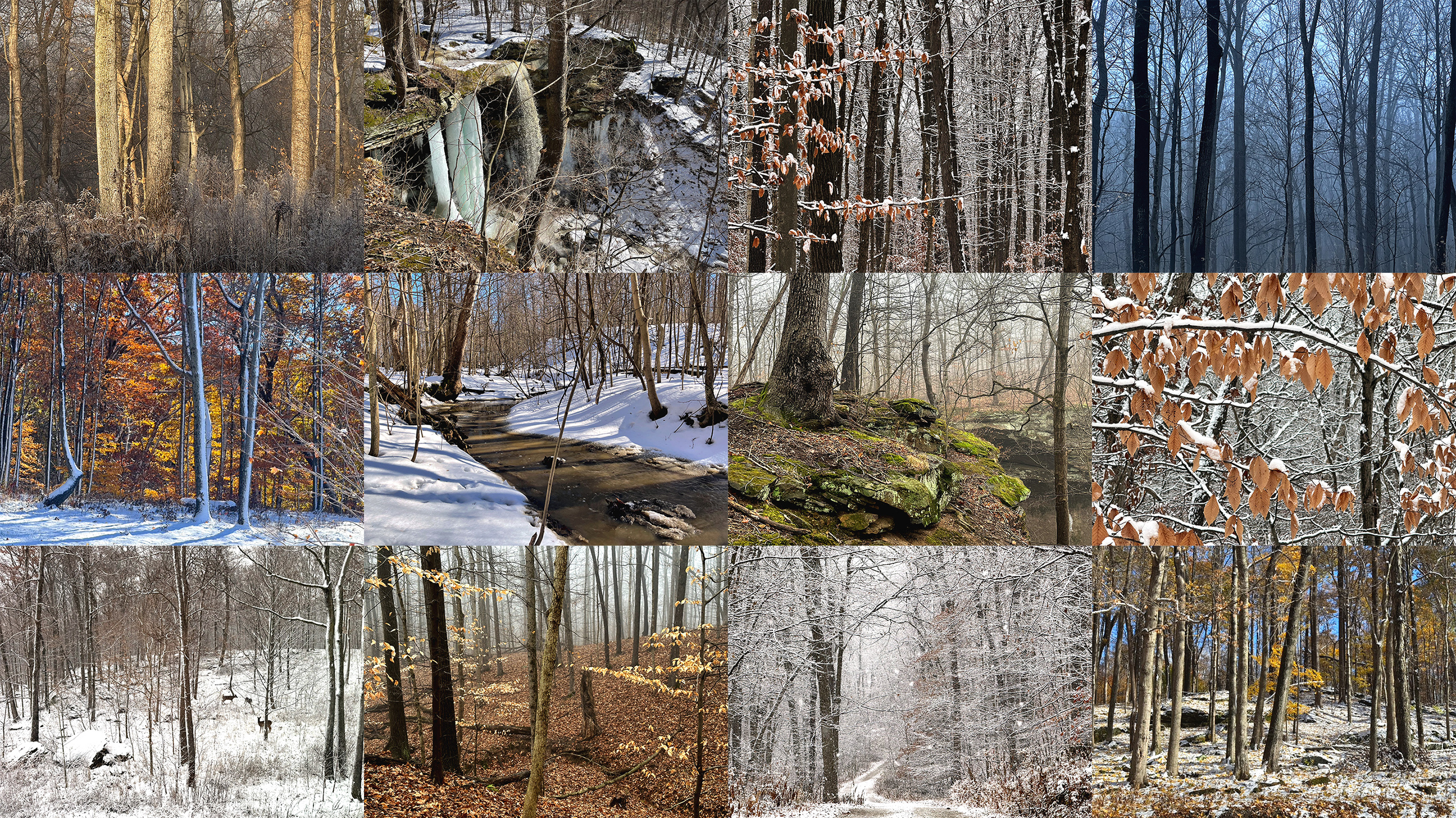 Greystone property in winter