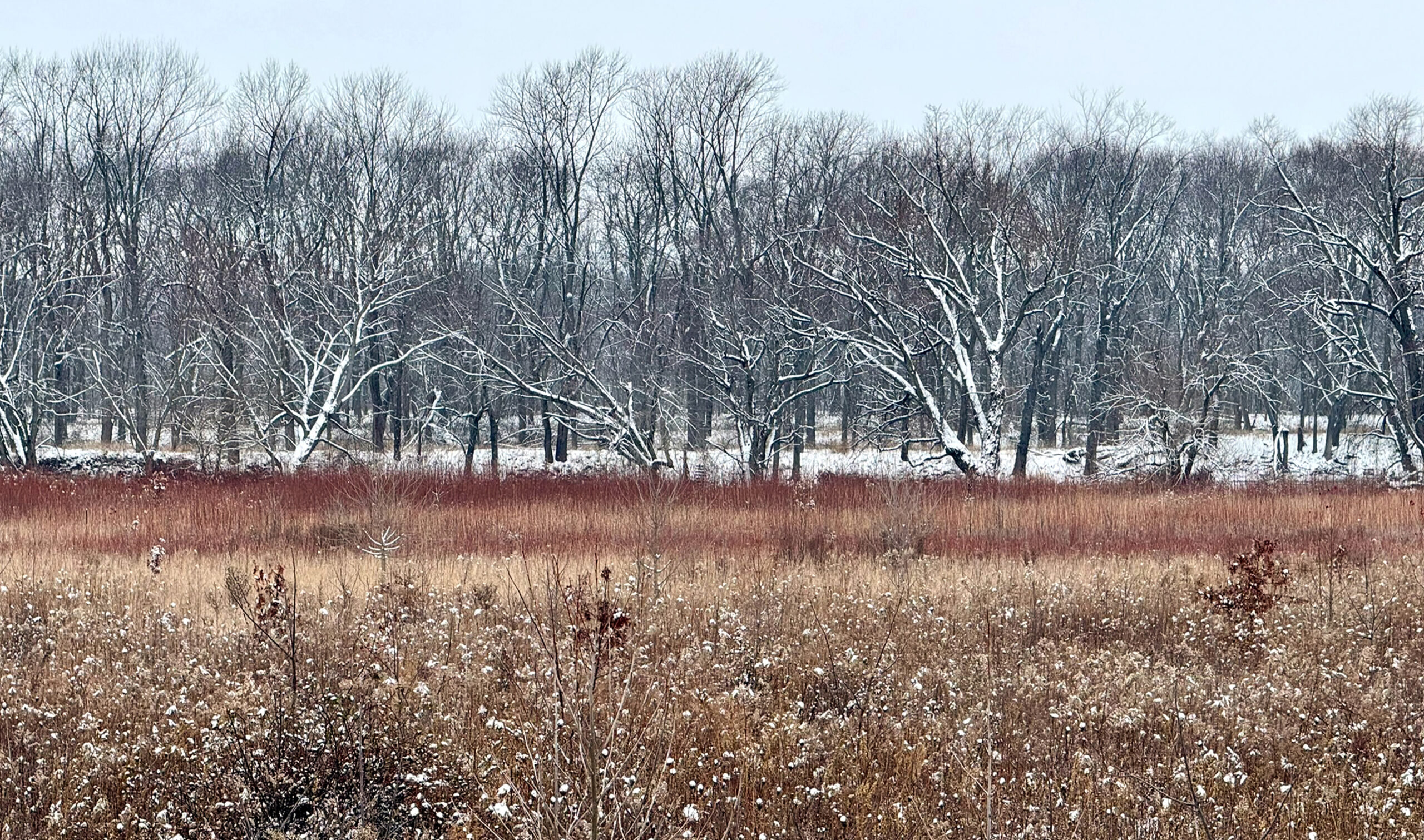 Greystone winter landscape