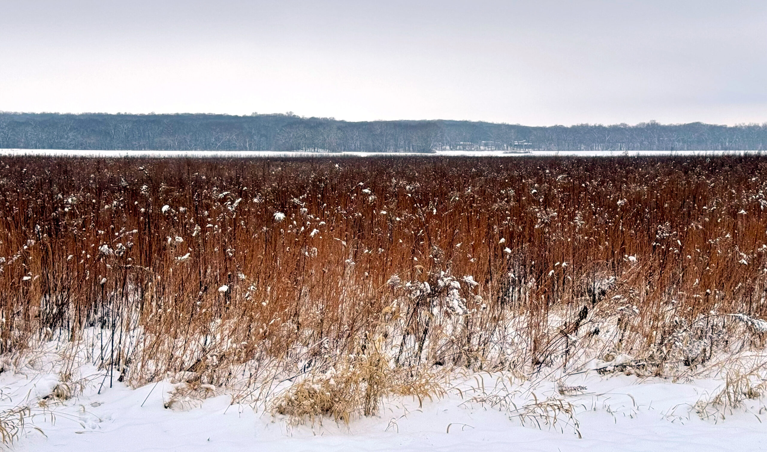 Greystone property winter snow