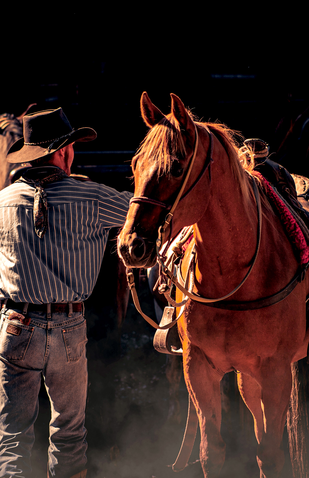 Horseback riding on wooded trail