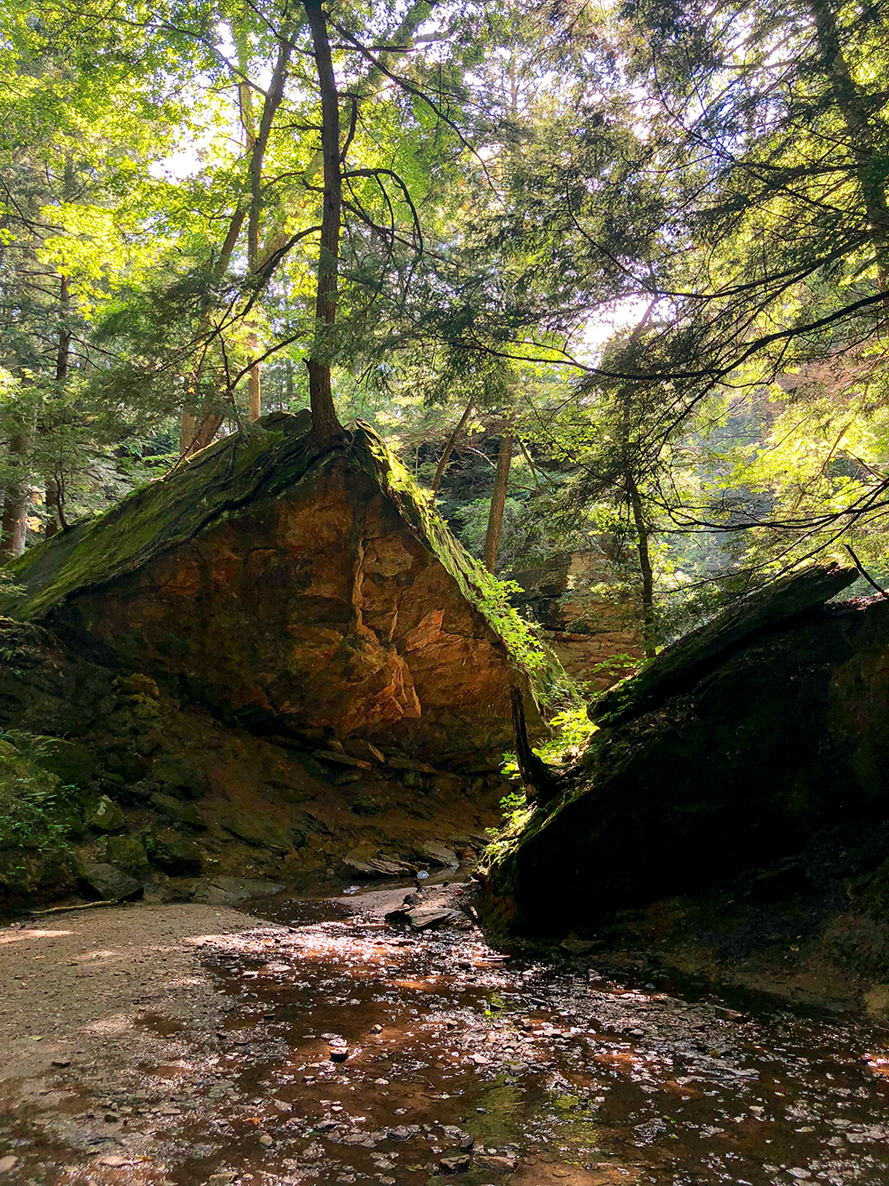 Turkey Run sandstone canyon trail