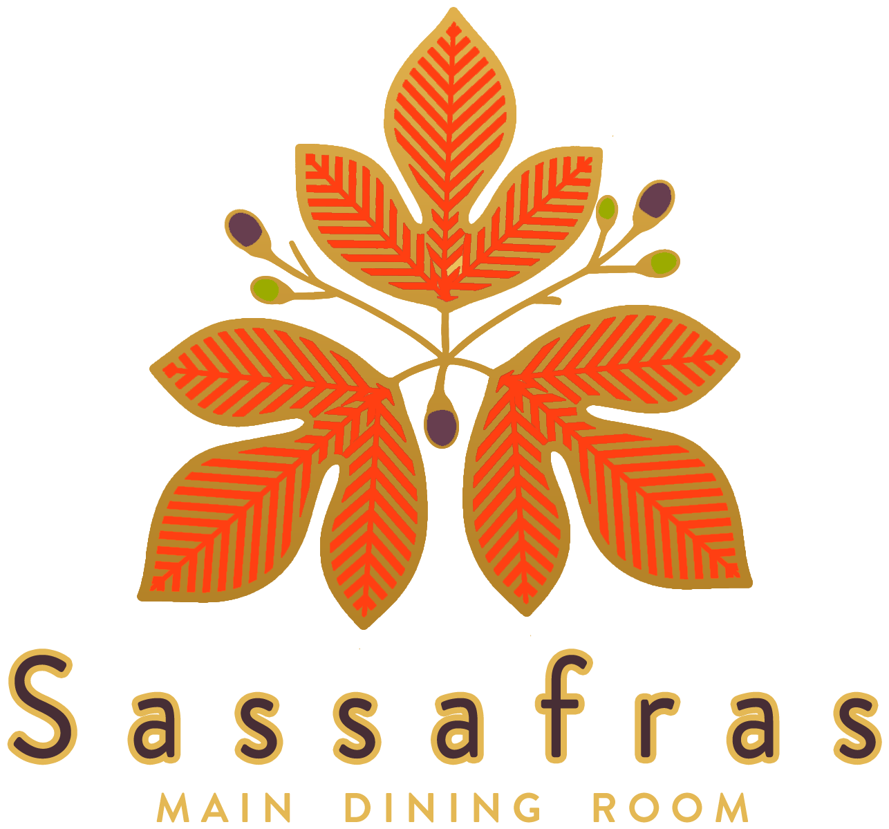 Sassafras