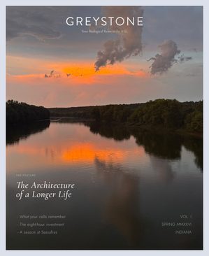 GREYSTONE journal, Vol. I — the meadow at first light