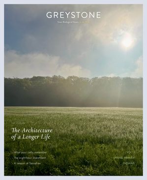 GREYSTONE journal, Vol. I — sycamore bark