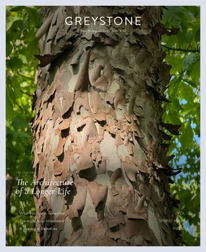 GREYSTONE journal, Vol. I — hardwood canopy in spring